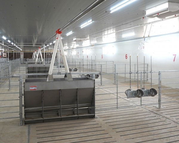 GF型不锈钢干湿食槽