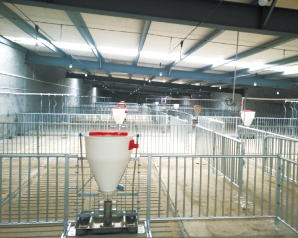 保育/育肥干湿喂料器